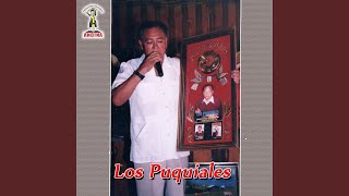 Video thumbnail of "Los Puquiales - Sihuarcito"
