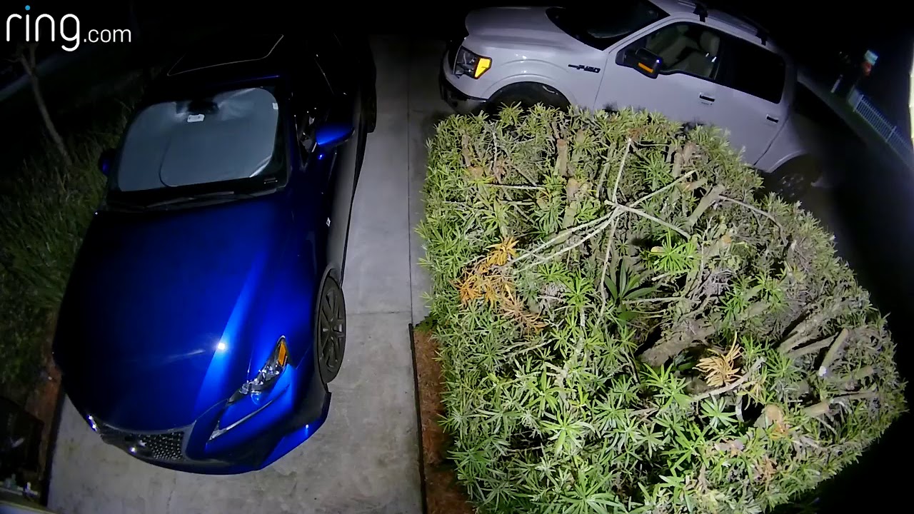 DeLand police are searching for suspects in 44 car burglaries - YouTube