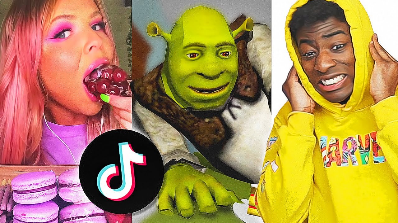 Weird ASMR TIK TOKS that have Gone Too Far