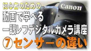 初心者の為のカメラ講座⑦ -センサーの違い-【一眼レフ編】