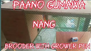 how to make brooder  with growing pen/ paano gumawa ng brooder with growing pen