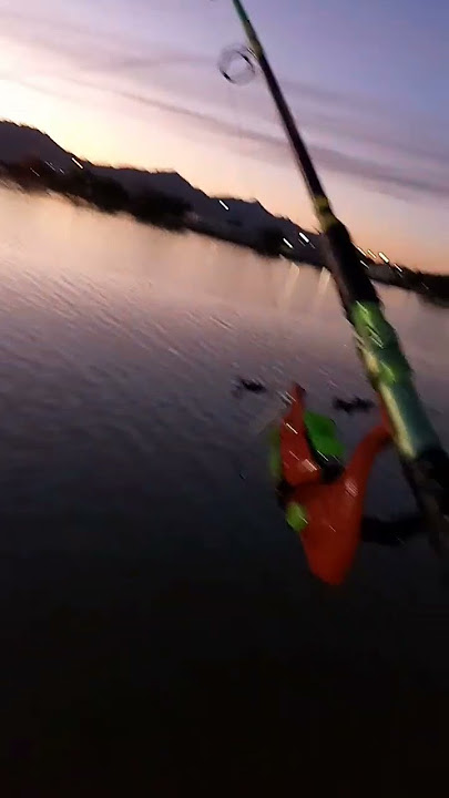 Sougayilang Spinning Fishing Rod and Reel Combos Portable