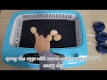 Chicken Couveuse Oeuf Automatique Egg Incubator