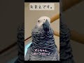 全く隠れる気のないかくれんぼ