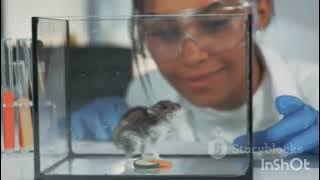 The Weirdest Animal Phenomena That Stunned Scientists