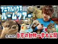 多頭飼いイケメンのルームツアー！自宅の動物(ペット)一挙大公開したら想像以上にスゴすぎた... Man's room tour