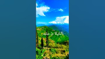 قرأن كريم راحة نفسية بصوت جميل#islamic_video#اكسبلور #المصحف #aslam #duet #trend #تلاوة#islamicquan