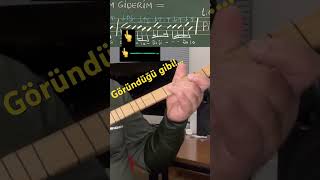 Şu Yalan Dünyaya Geldim Giderim.pir Sultan Abdal/Lütfü Gültekin
