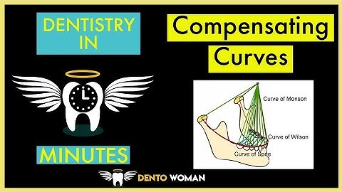 Occlusion : Compensating Curves #compensatingcurves #bds