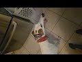 Greyhound Shakes Head in Slow Motion While Tongue Wraps Around Snout