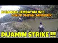 mancing sungai serayu umpan ini langsung strek sirip merah spot bawah jembatan prigi