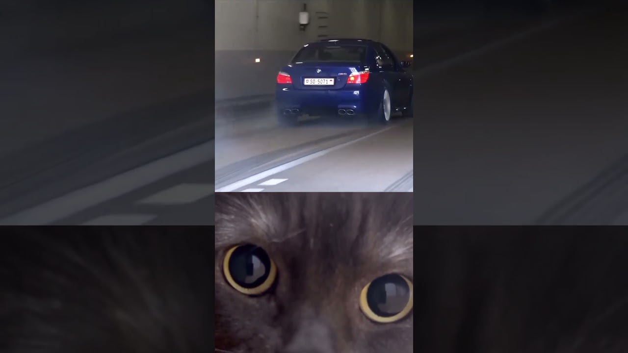 😍 The BMW M5 E60 V10 Exhaust Sound Is PURE Madness 🔥👑