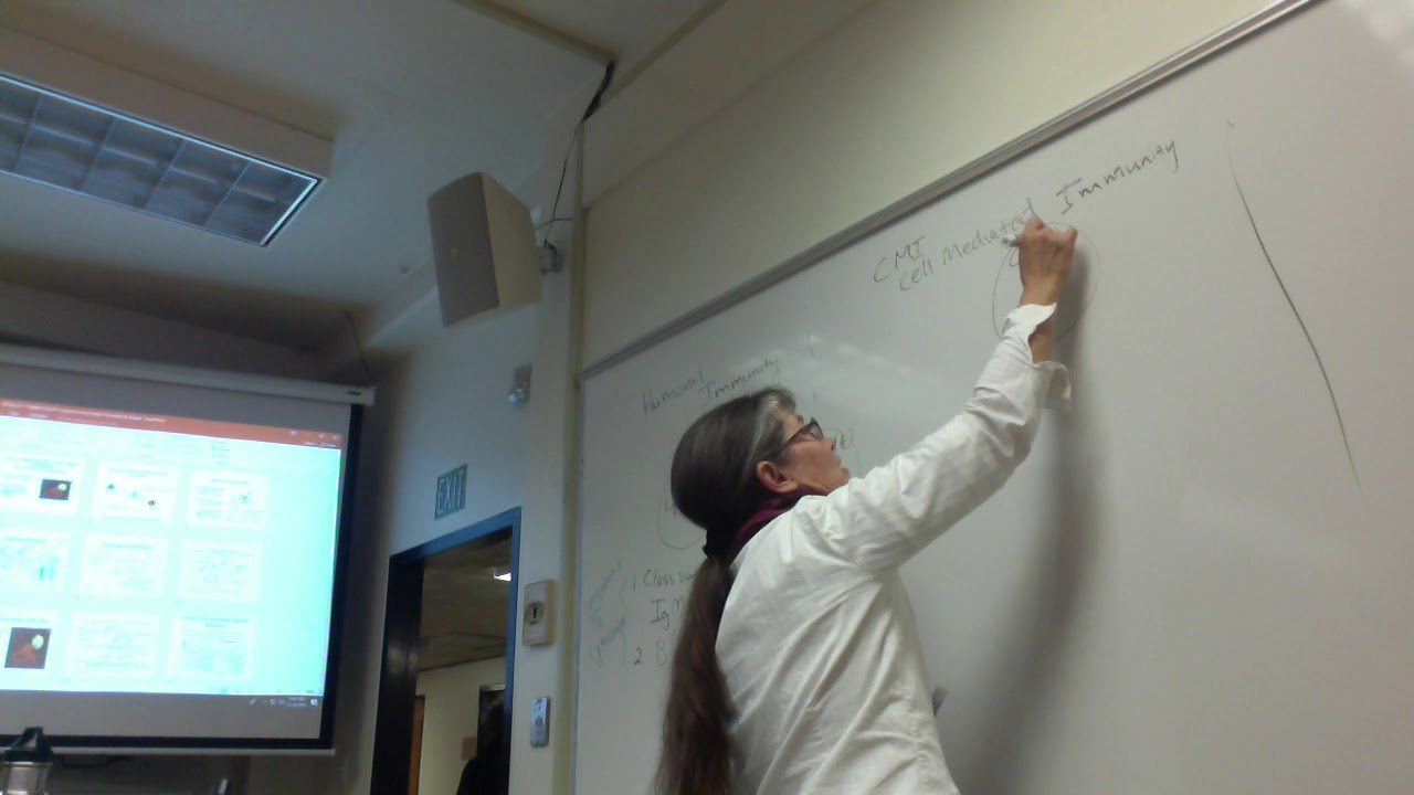 movie in Last LEcture Finish Immunity Thurs DEc 12