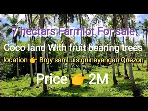 Video 7 has farmlot Nyogan with fruit bearing trees. price... - youtube