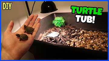 My New Baby Box Turtle Setup!