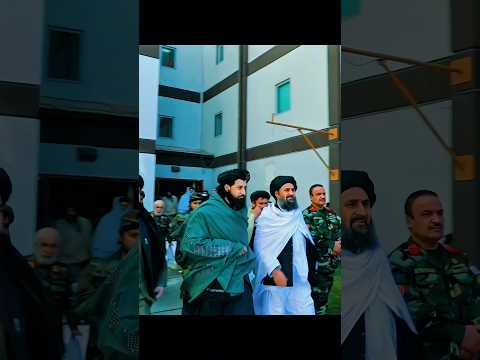 وضعیت نگرش ملا یعقوب مجاهد مجاهد طالبان نیروی افغانستان مجاهدین