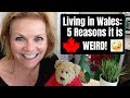 LIVING IN WALES IS WEIRD SOMETIMES!!  Join me in another journey of a Canadian Living in Wales.