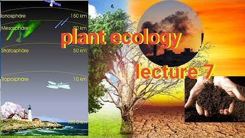 Lecture 7 of plant ecology ecosystem