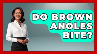 Do Brown Anoles Bite - Reptilian Wonders