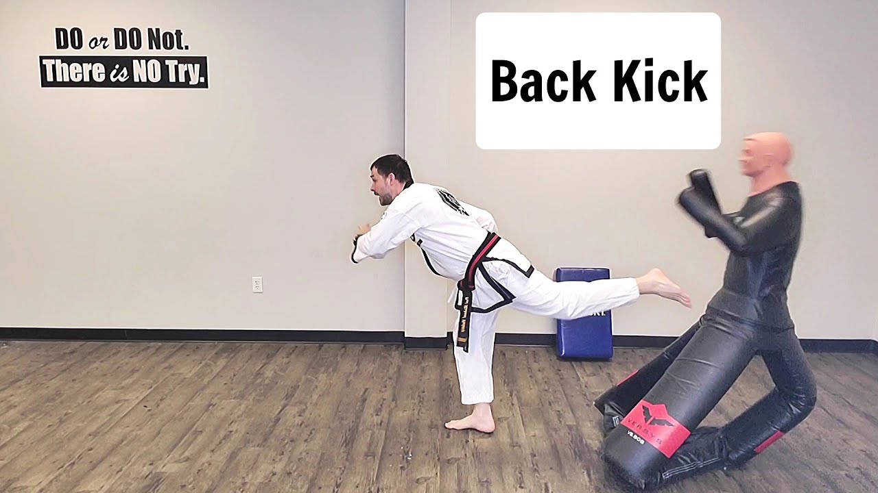 How to do a Martial Arts Back Kick YouTube