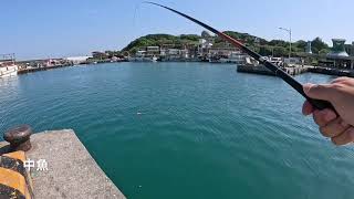 [北海岸釣點分享]  北海岸 富基漁港  釣魚  釣況分享 ！！ 記得 訂閱 才能收到第一手釣況資訊 謝謝！！