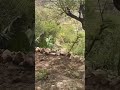 ٢١ مايو ٢٠٢٥