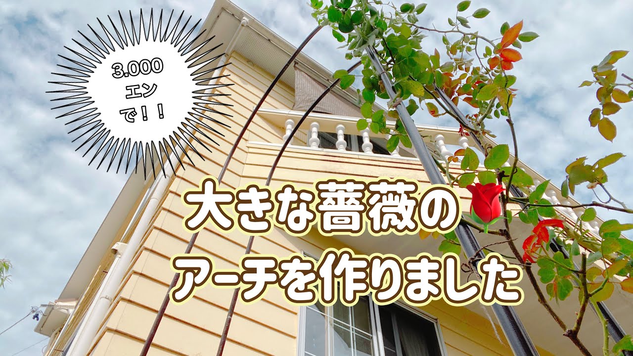 【薔薇のアーチ🌹】大きな薔薇のアーチを3000エン程で作りました🙌＃庭づくり#バラ#ローズ#アーチ