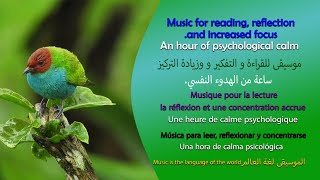 موسيقى للقراءة والتفكير وزيادة التركيز. ساعة من الهدوء النفسي. Music for increased focus