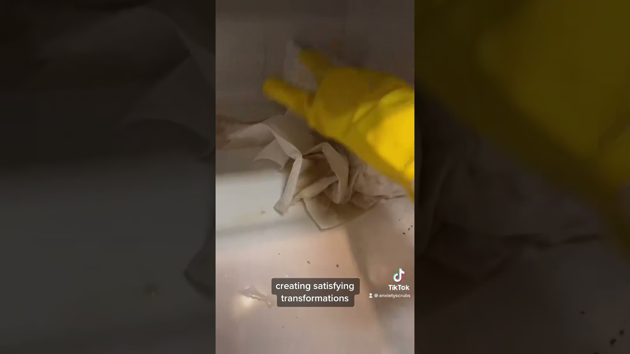 Memories from a wonderful year 