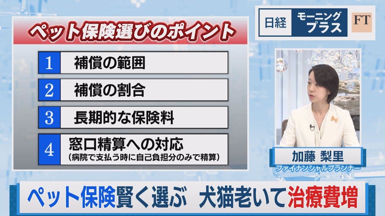 ペット保険賢く選ぶ 犬猫老いて治療費増【日経モープラFT】（2023年11月13日）