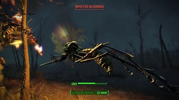Fallout 4 - Bloodbugs: Damn Near Indestructible..