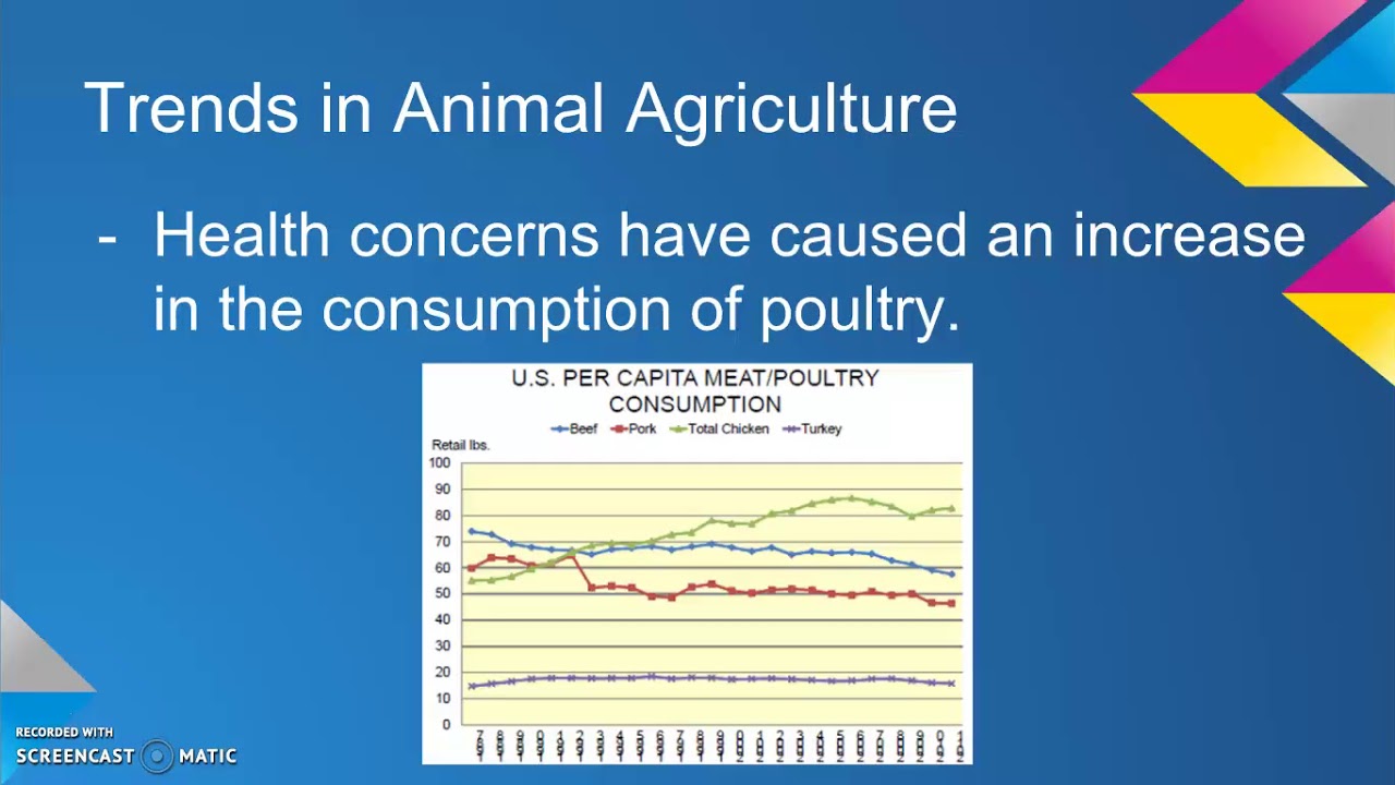5 01 Importance of Animal Agriculture YouTube