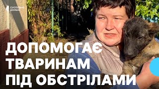 видео: «Не хочу бути, як ті, що покидають тварин». Волонтерка з Дружківки допомагає тваринам під обстрілами картинка: «Не хочу бути, як ті, що покидають тварин». Волонтерка з Дружківки допомагає тваринам під обстрілами