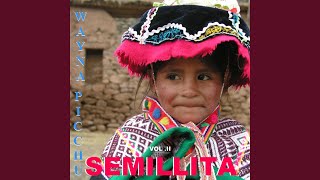 Video thumbnail of "Wayna Picchu - sisagu"
