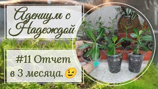 :   3 !    .