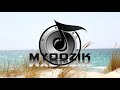 Alan Walker - Spectre [Non Copyrighted Royalty Free Music]