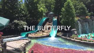 Dollywoods Splash Country Water Slide Scale