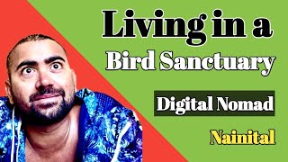 I am living in a bird sanctuary, Pangot, Nainital, Uttarakhand