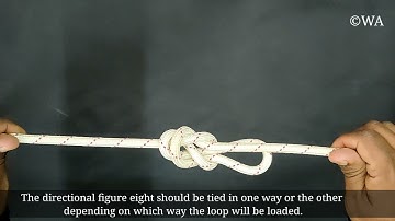 Directional figure 8 | inline figure 8 | Essential Knots | Learn knot in 30 Seconds