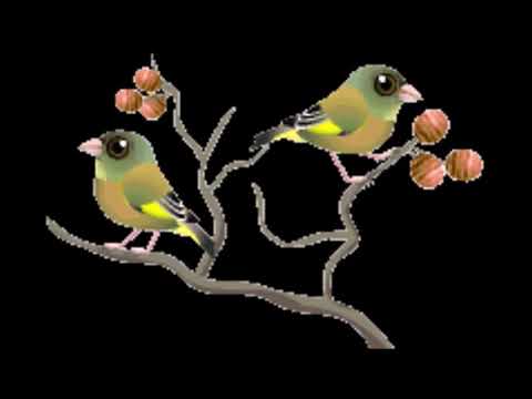 黃明輝台語唸成語 ~第72集