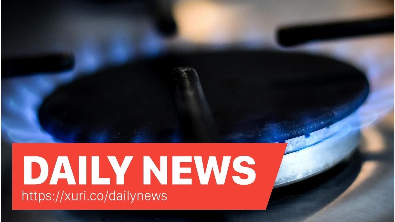 Daily News Ban gas cookers and central heating to tackle climate