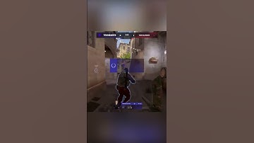 TryHearts Got No Chill 💪  #CS2 #shorts #plausiblelfg #PGCS #clips #highlights