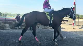 Jockey Paco Lopez made another trip to the Parx Racing winner’s circle 