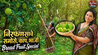 निरफणसाचे समोसे, काप, भाजी | Bread Fruit Special | Village Cooking | Red Soil Stories