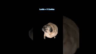 Small creator no support 😢 #pug #1million #pleasesubscribe