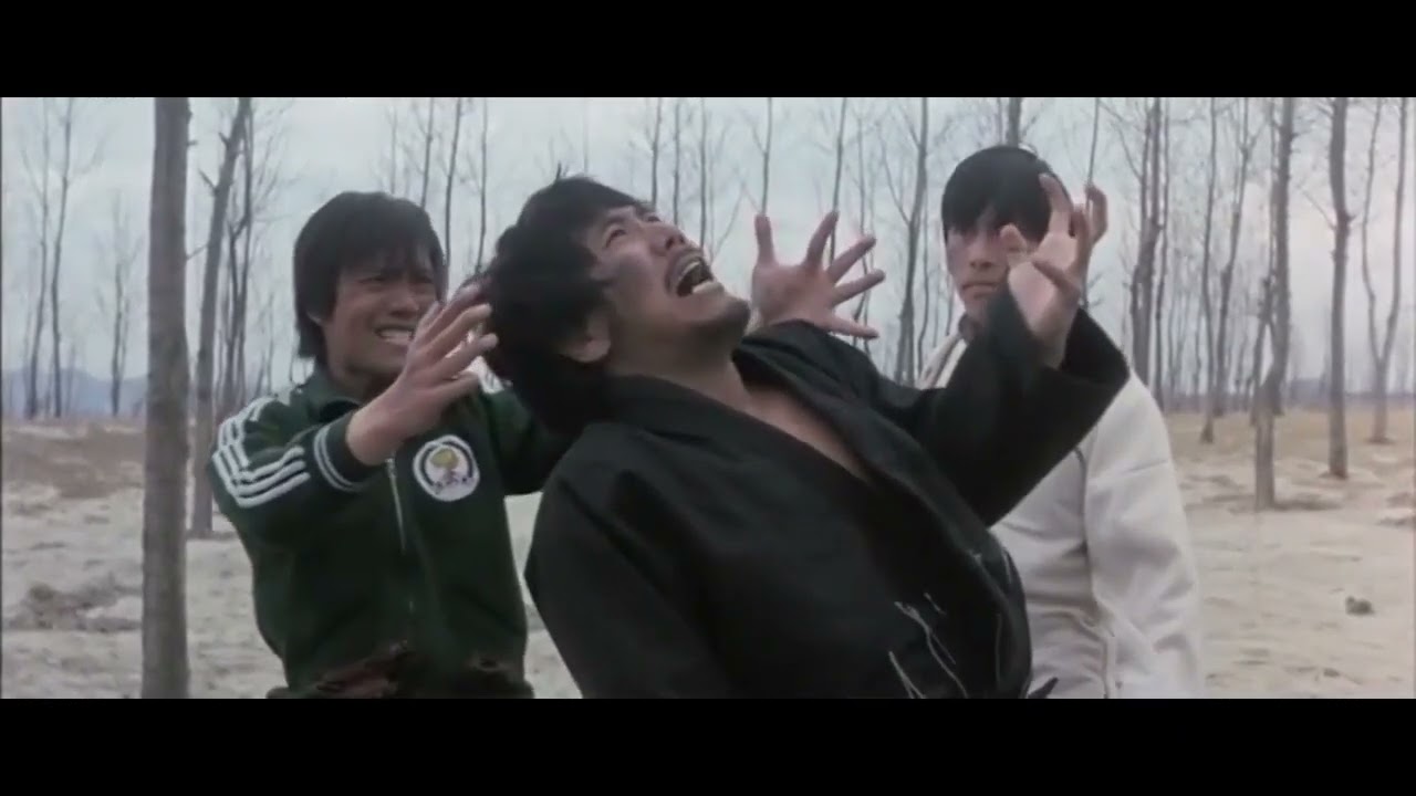 Dragon Tamers 1975 "Final Fight"