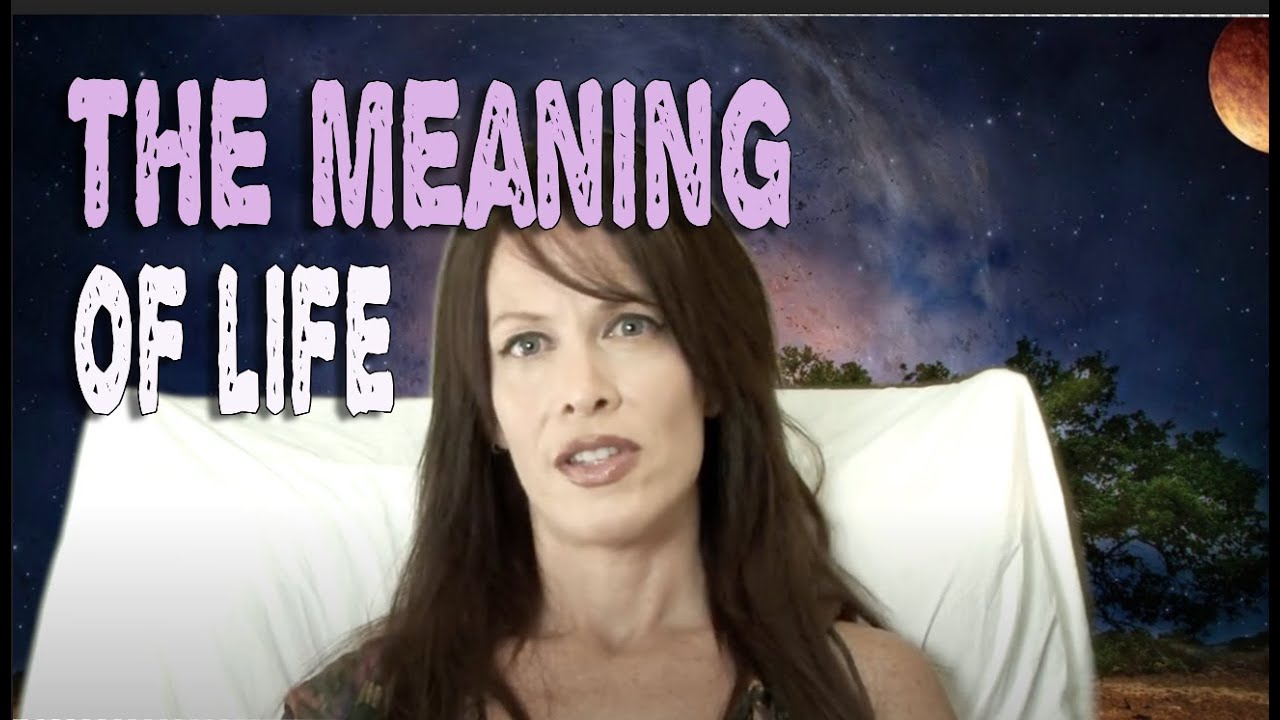 The meaning of life by Lisa René