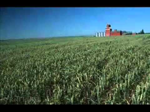 This land is your land Canada.