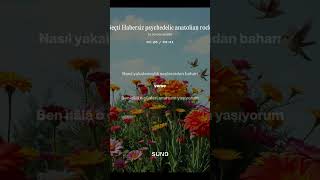 Zeki Müren - Nasıl Geçti Habersiz True Psychedelic Rock Cover Version