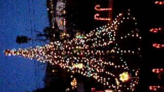 Christmas Lights 2008  Mega Tree